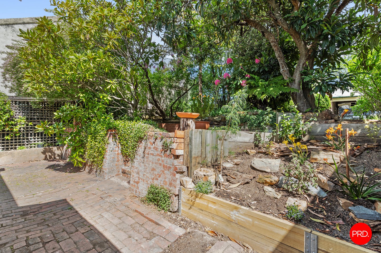 129 Forest Street BENDIGO 22