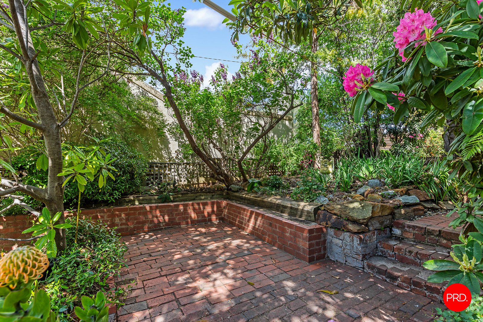 129 Forest Street BENDIGO 23