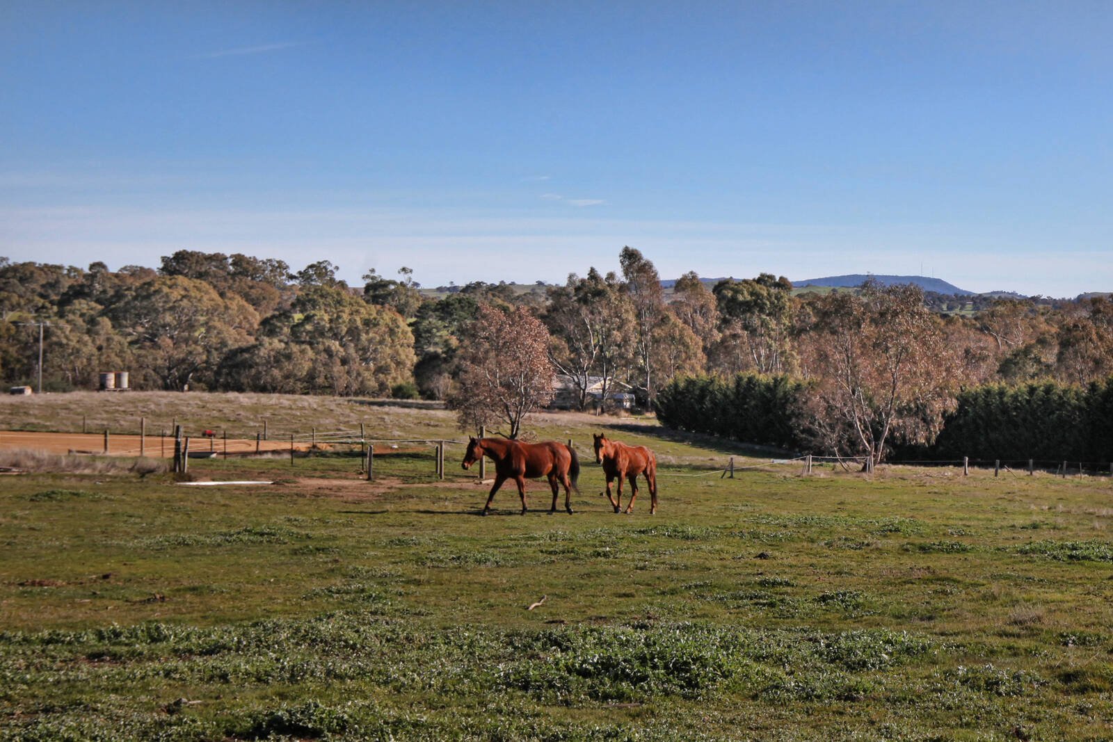 Real Estate and Property in 129 Kyneton-Metcalfe Road, Metcalfe, VIC