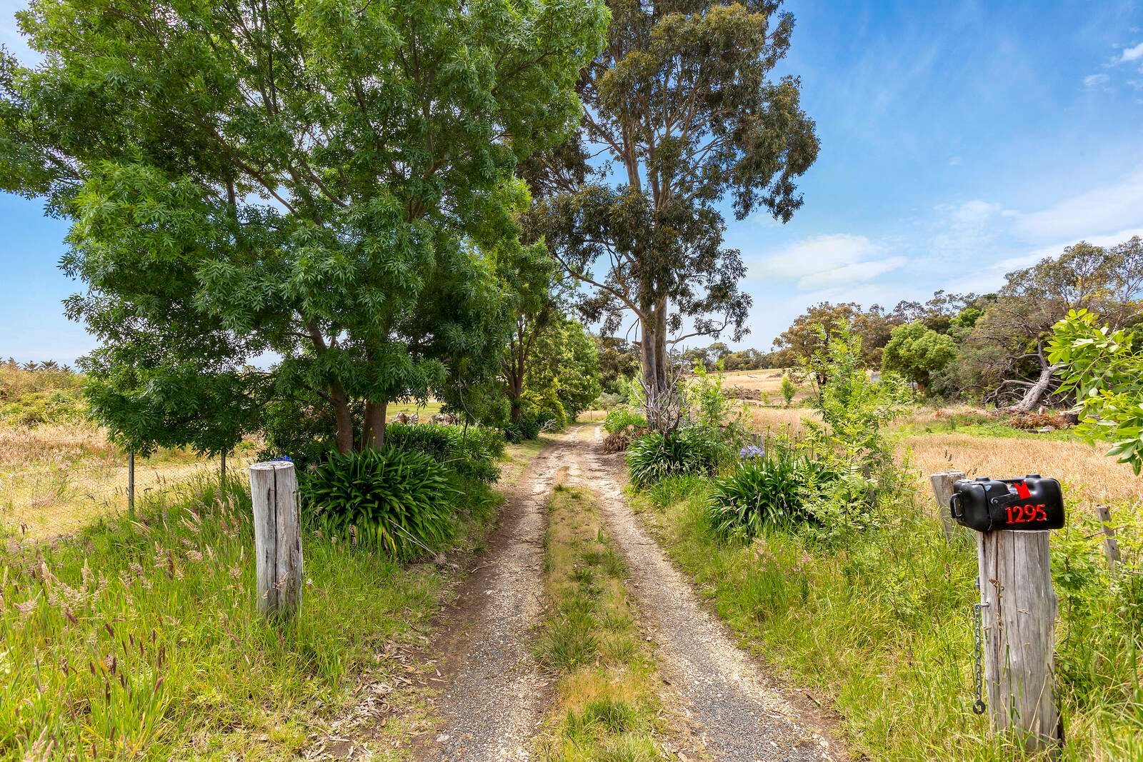 Real Estate and Property in 1291-1299 Bellarine Highway, Wallington, VIC