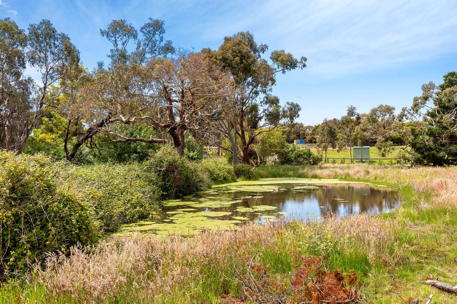 Real Estate and Property in 1291-1299 Bellarine Highway, Wallington, VIC