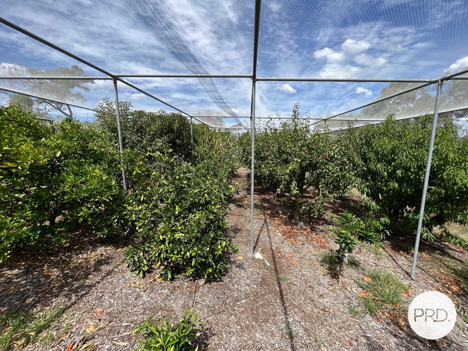 1291 Giants Creek Road, Giants Creek  DENMAN 28