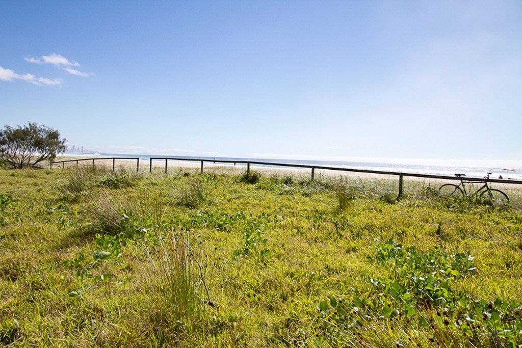 12/983 Gold Coast Highway PALM BEACH 12