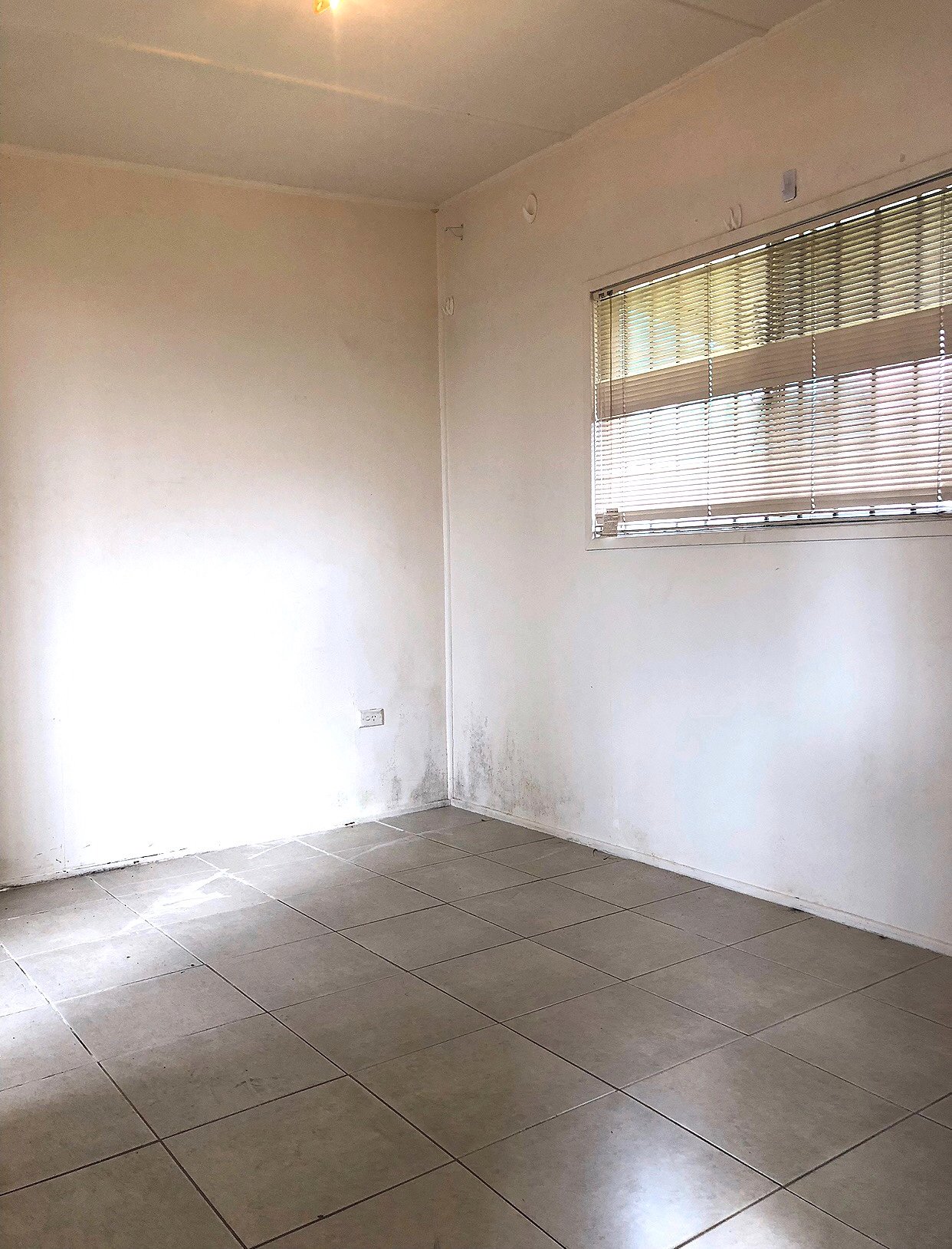 12A Lyon Street PUNCHBOWL 3