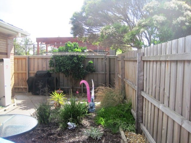 Gallery: 1/2c Argyle Avenue