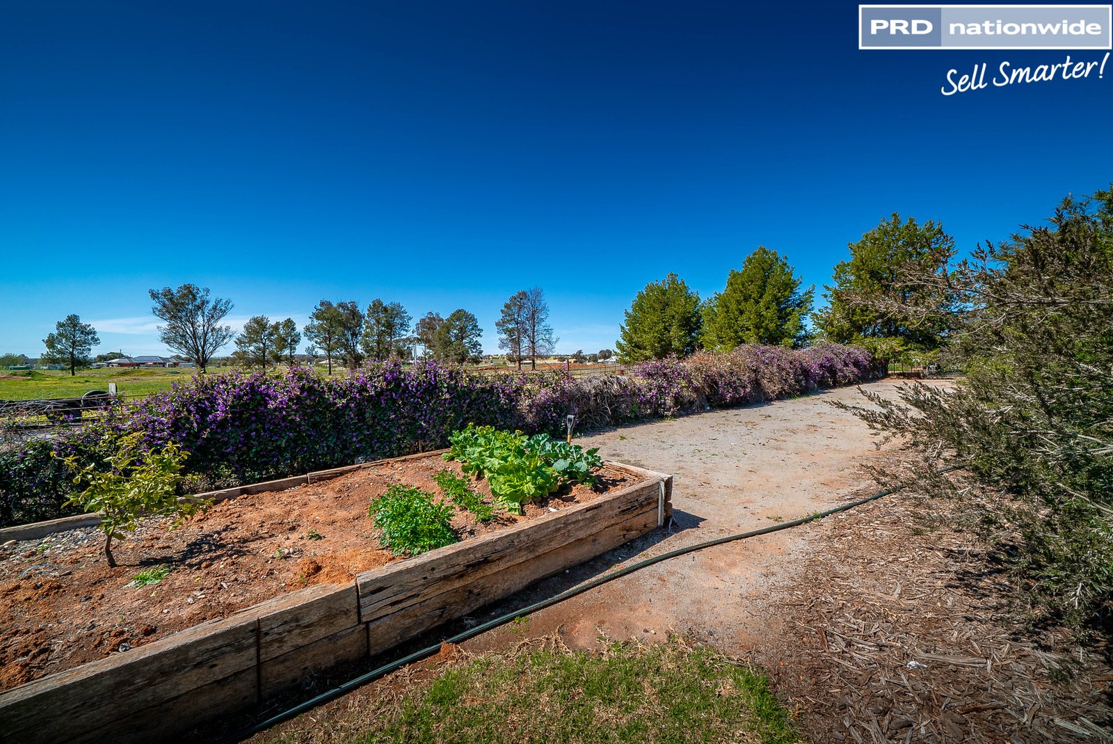 13-15 Wattle Lane COOLAMON 4