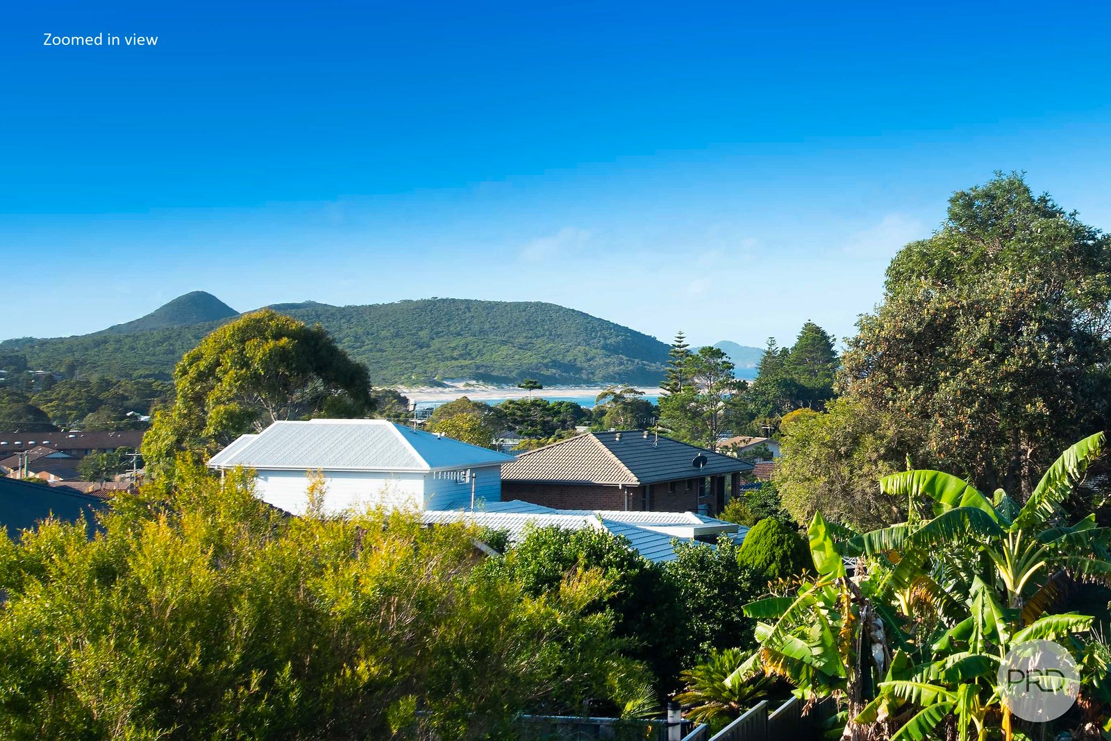 13 Amaroo Crescent FINGAL BAY 11