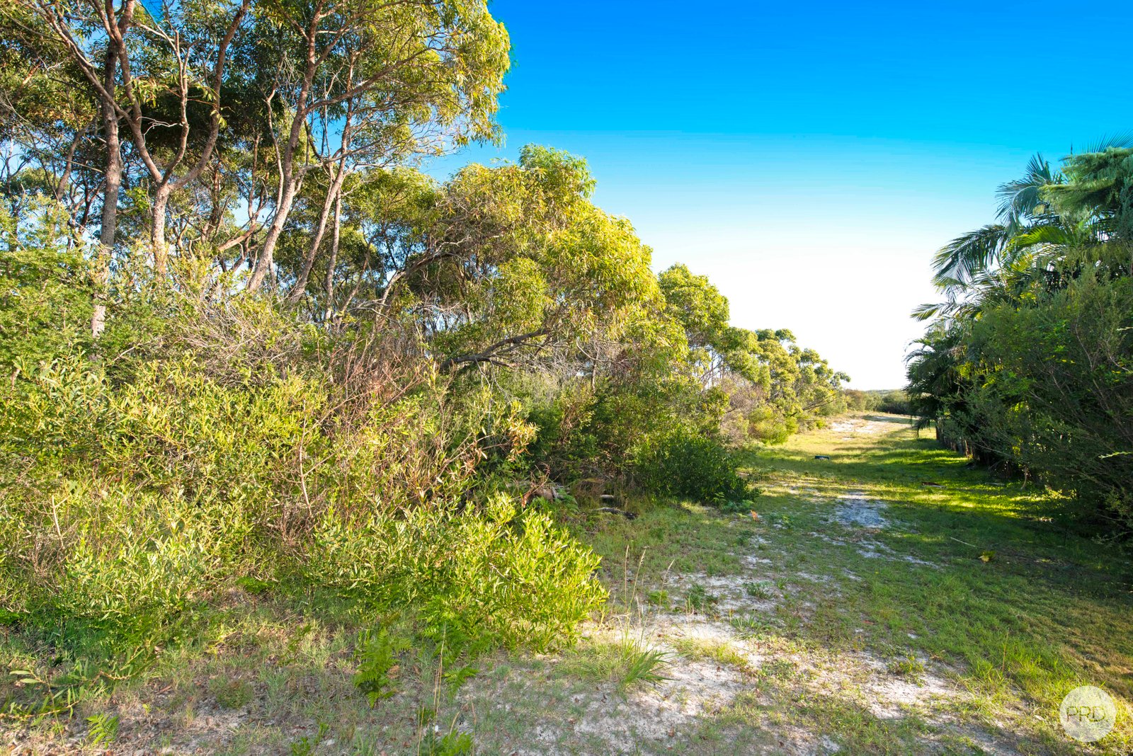 13 Amaroo Crescent FINGAL BAY 19