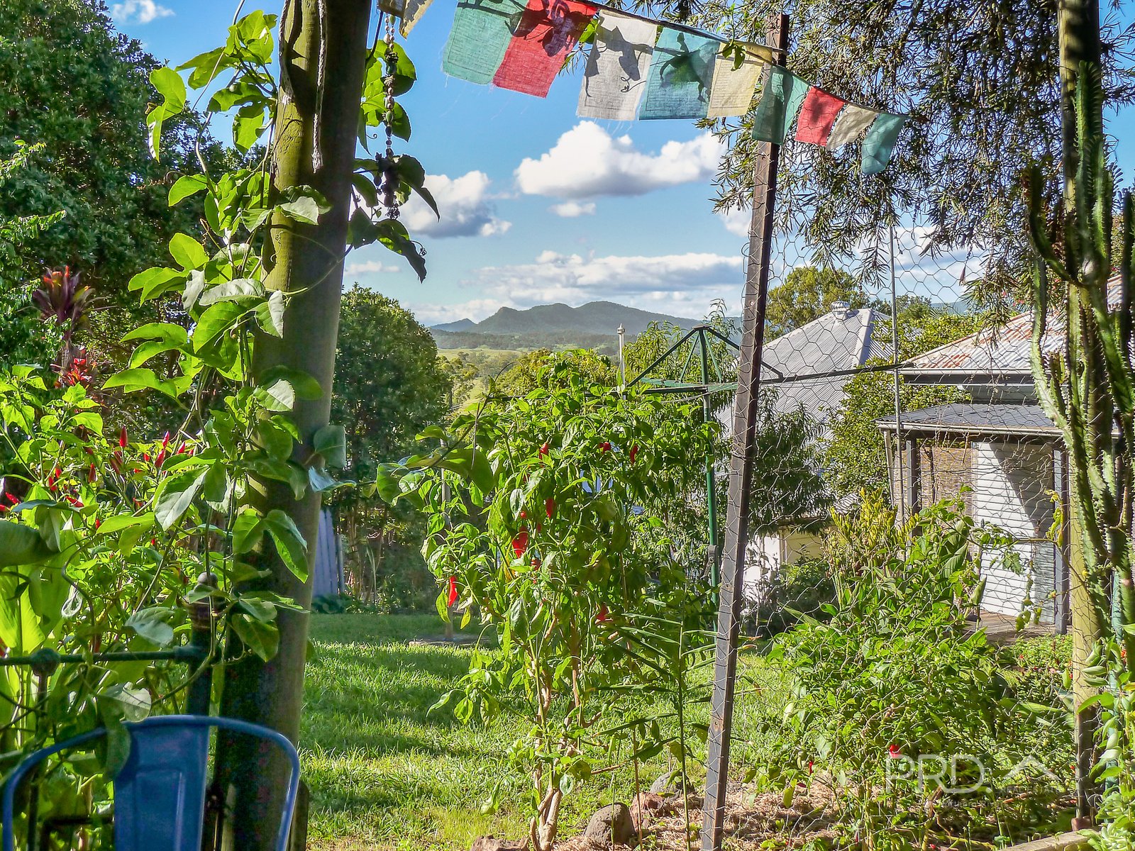 13 Anderson Street KYOGLE 22