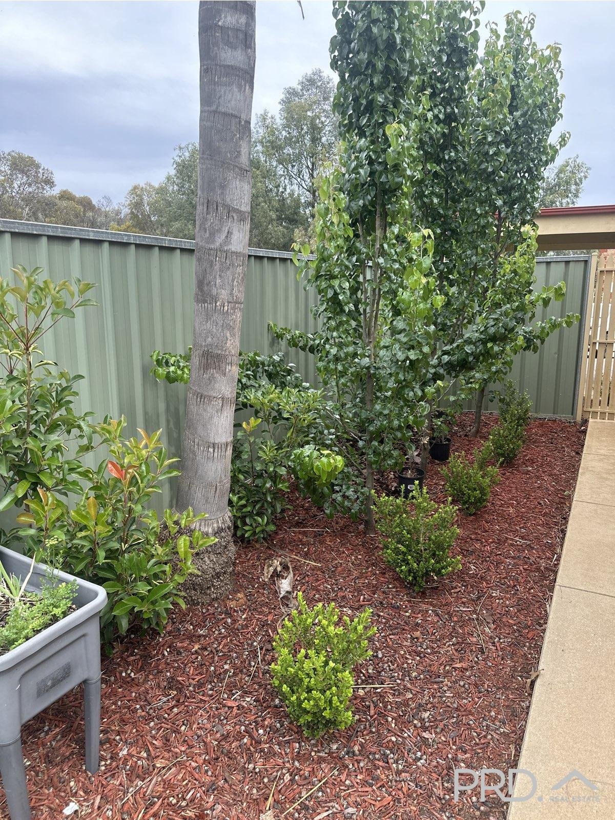 13 Ashwood Court MILDURA 11