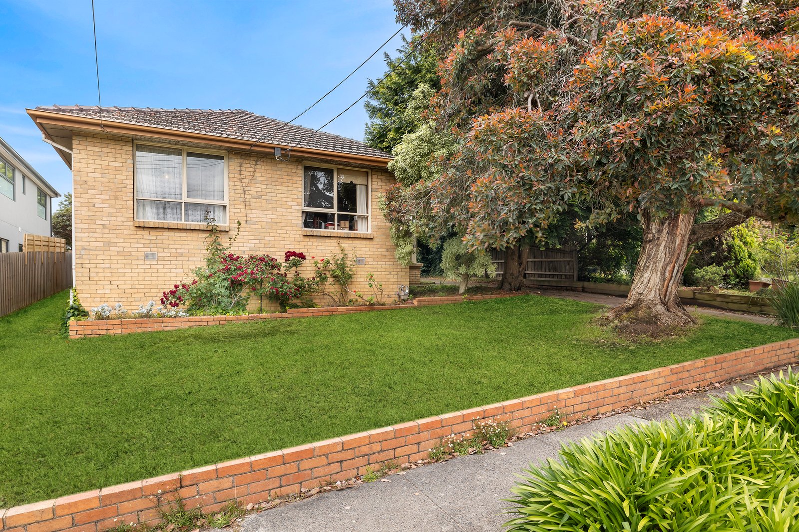Gallery: 13 Bruce Street
