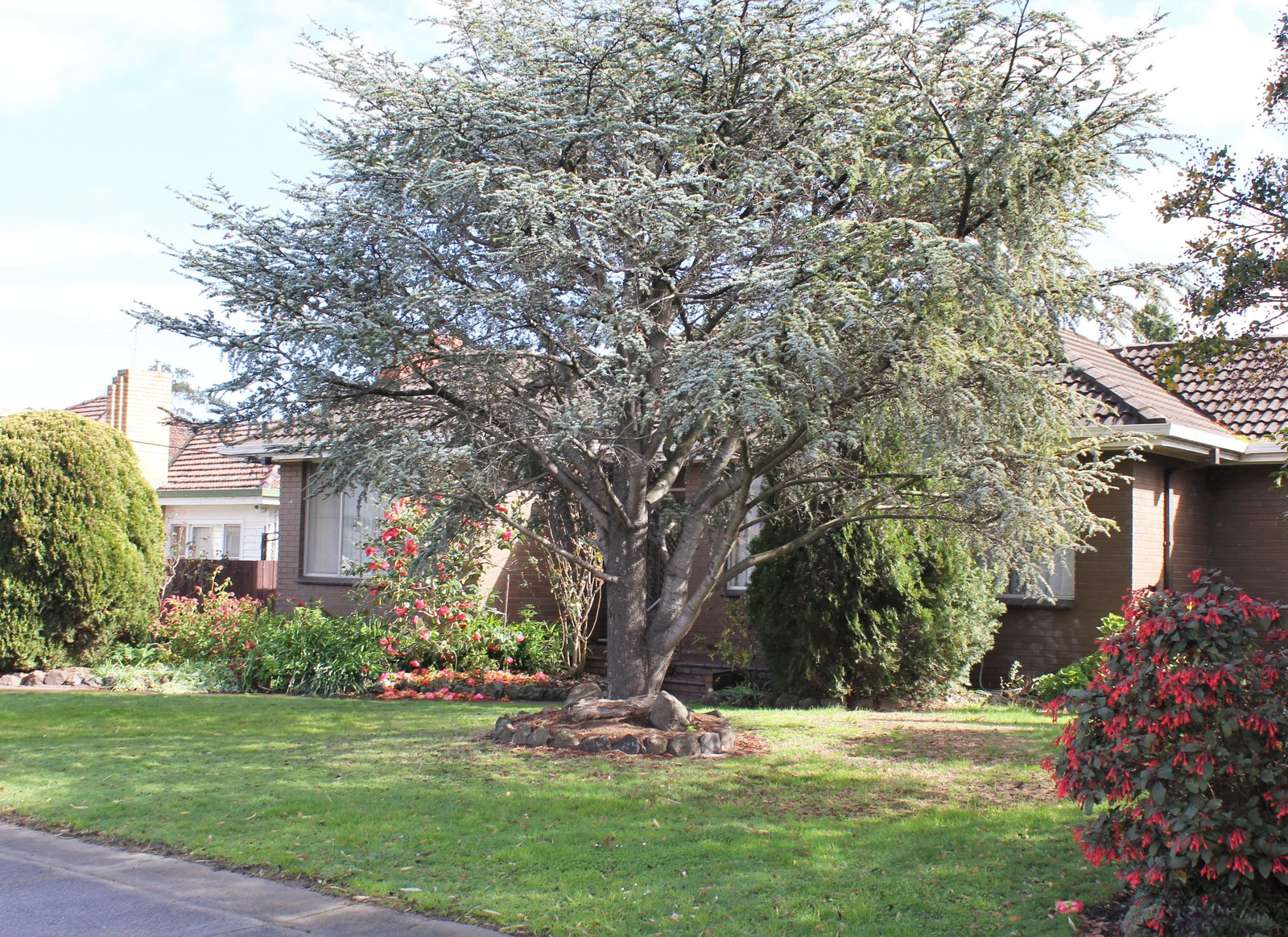 Gallery: 13 Burton Avenue