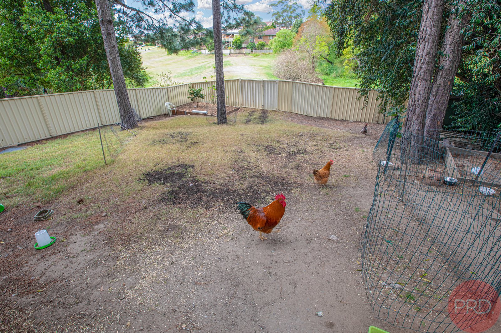 13 Cambrian Place EAST MAITLAND 23