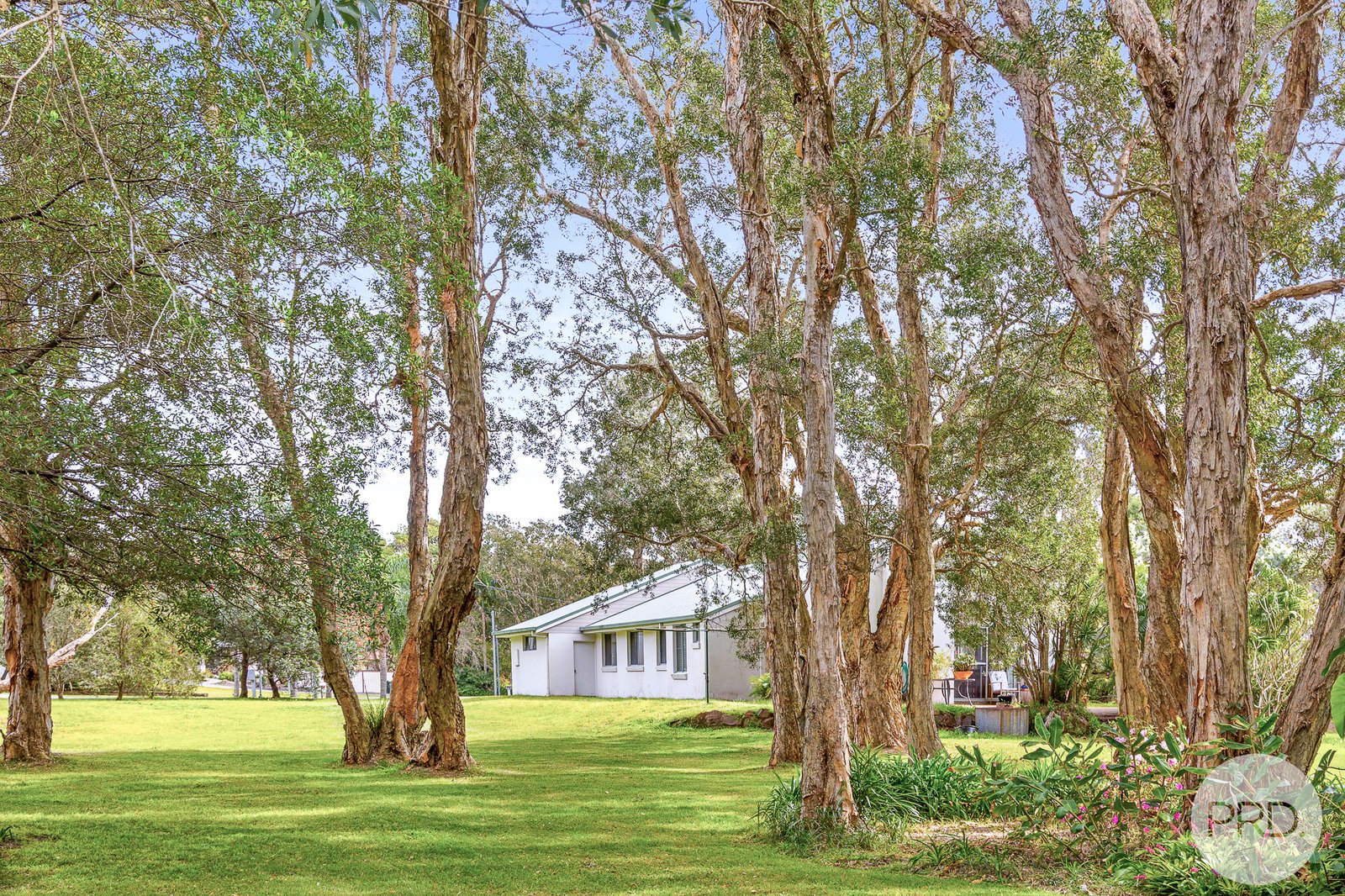 13 Casuarina Close ONE MILE 10