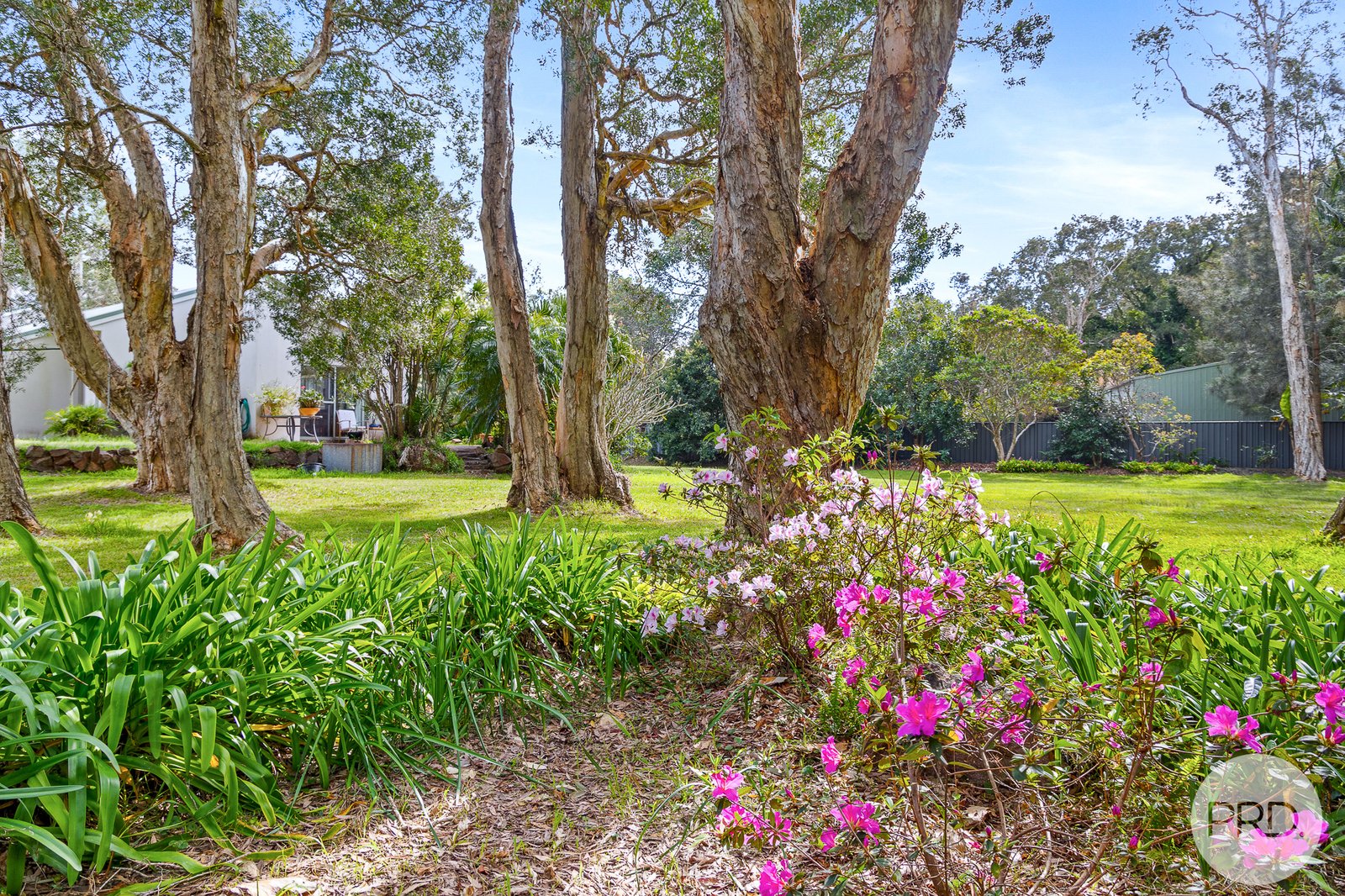 13 Casuarina Close ONE MILE 19