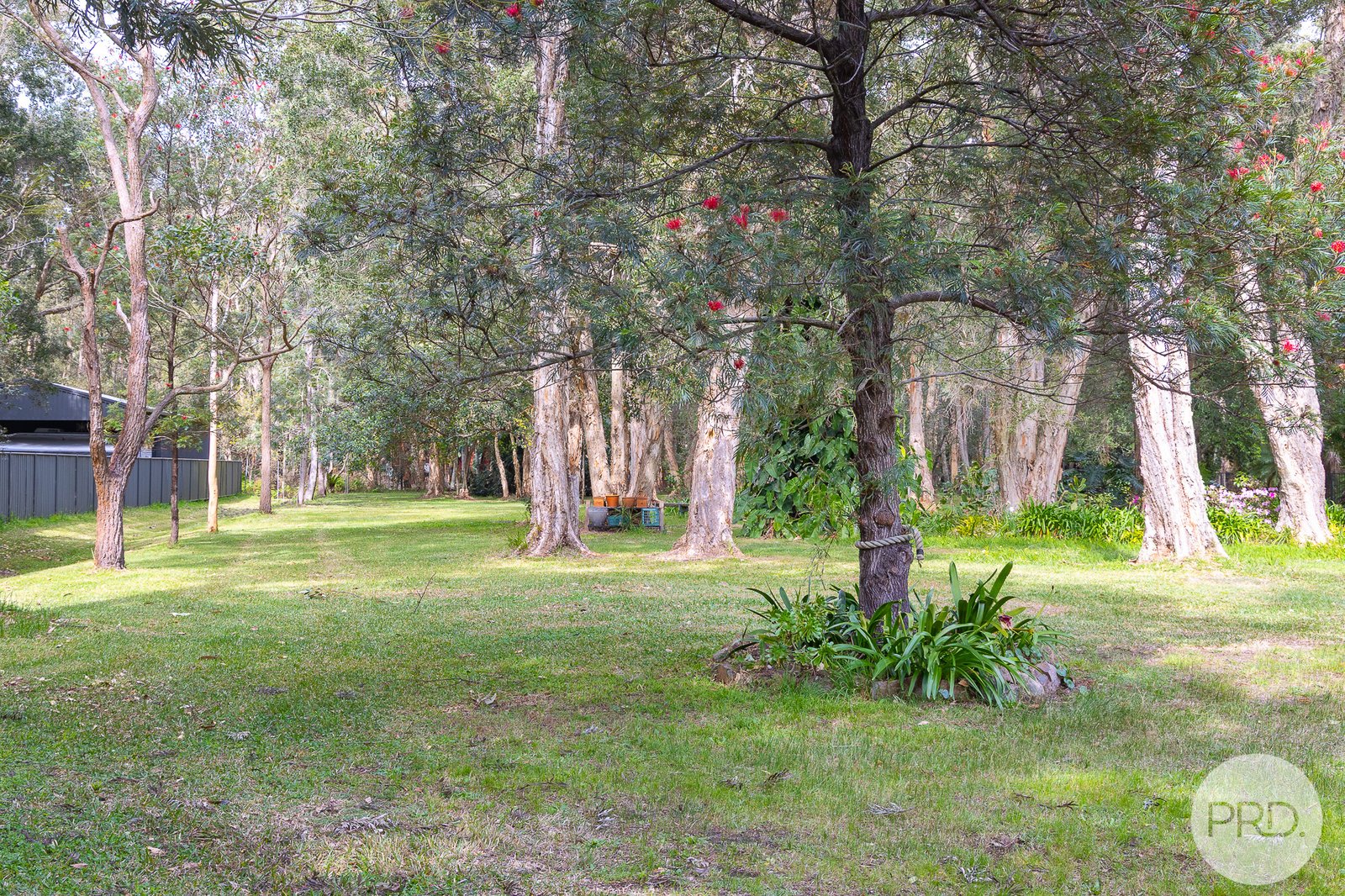 13 Casuarina Close ONE MILE 22