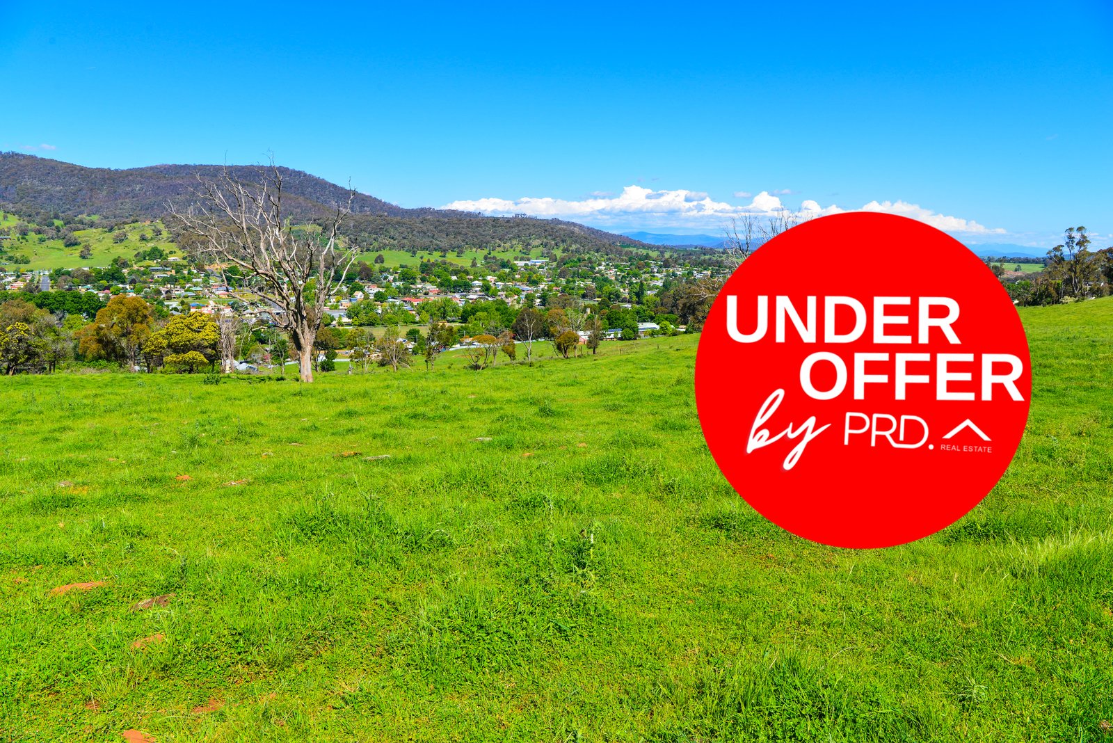 13 Chaffey Close TUMBARUMBA 1