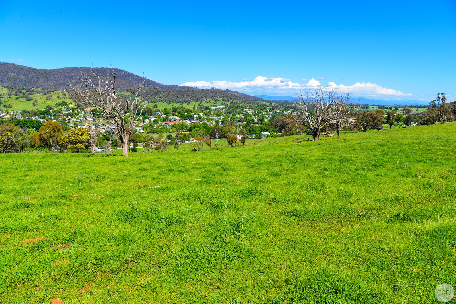 13 Chaffey Close TUMBARUMBA 3