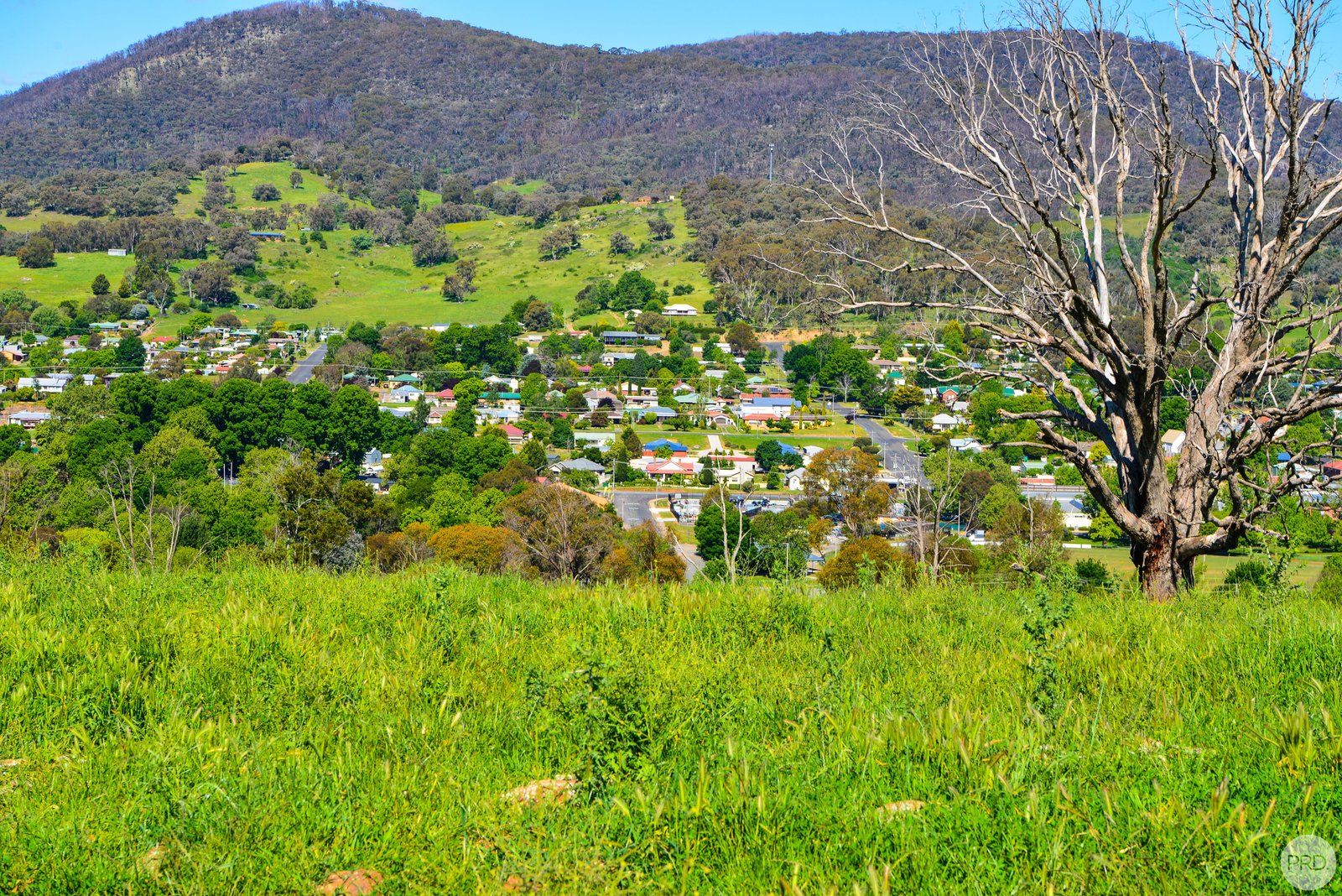 13 Chaffey Close TUMBARUMBA 5