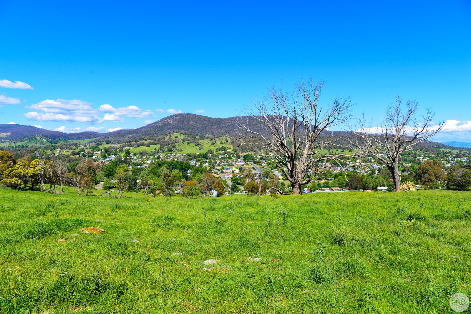 13 Chaffey Close TUMBARUMBA 6