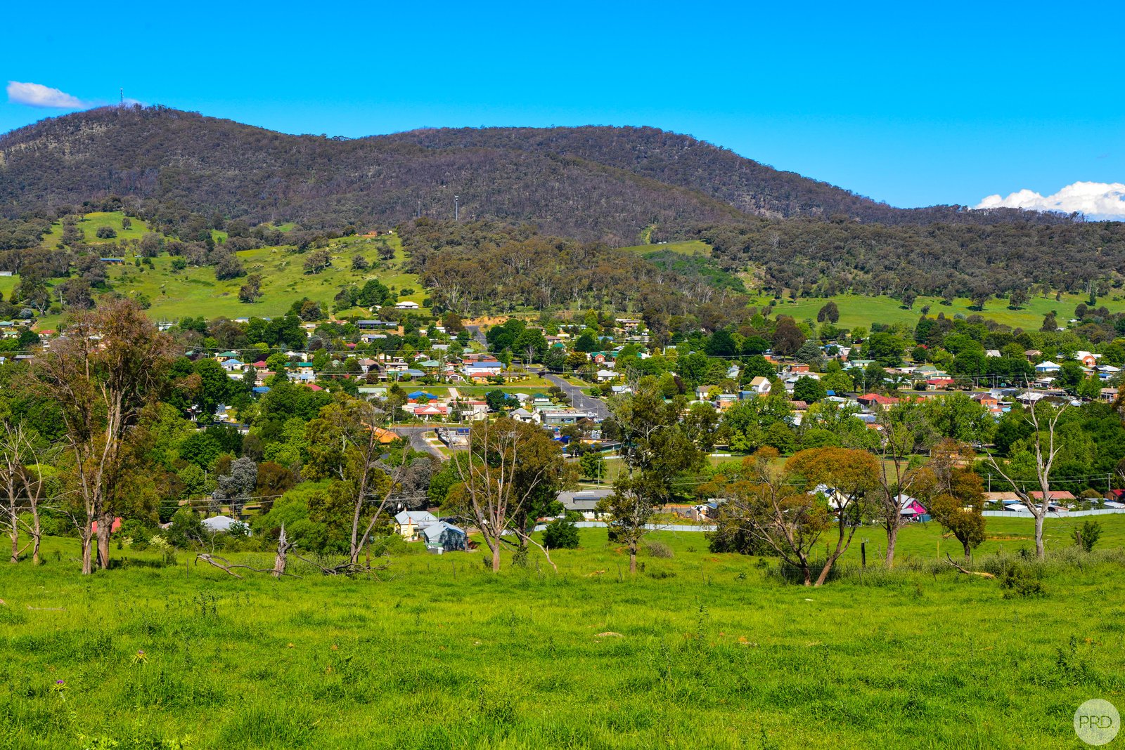13 Chaffey Close TUMBARUMBA 7