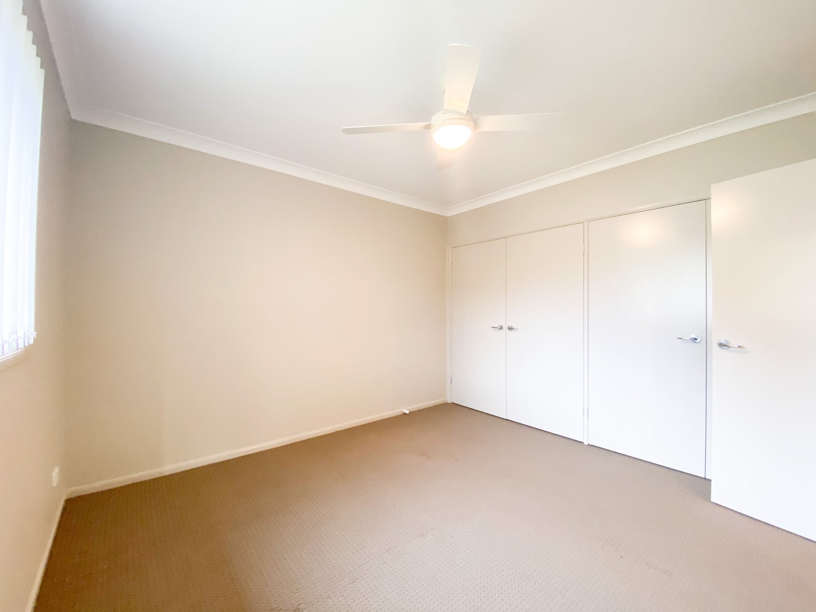 13 Christmas Bush Ave  NELSON BAY 12