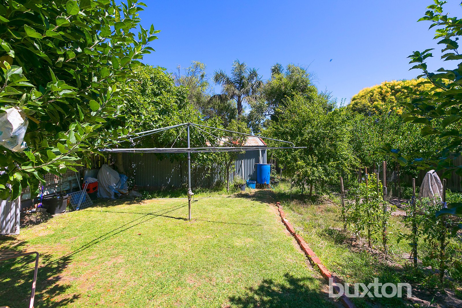 Gallery: 13 Cloyne Street