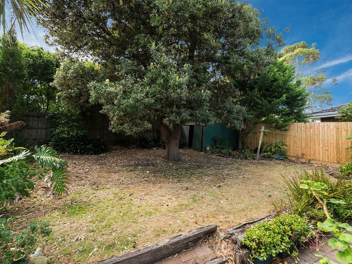 Gallery: 13 Cowper Street