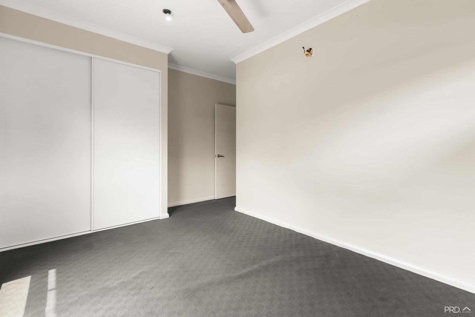 13 Dalmatio Street BILINGURR 13