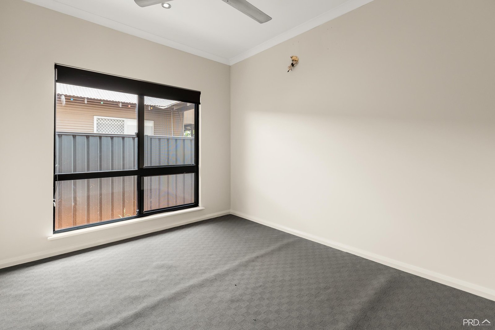 13 Dalmatio Street BILINGURR 14