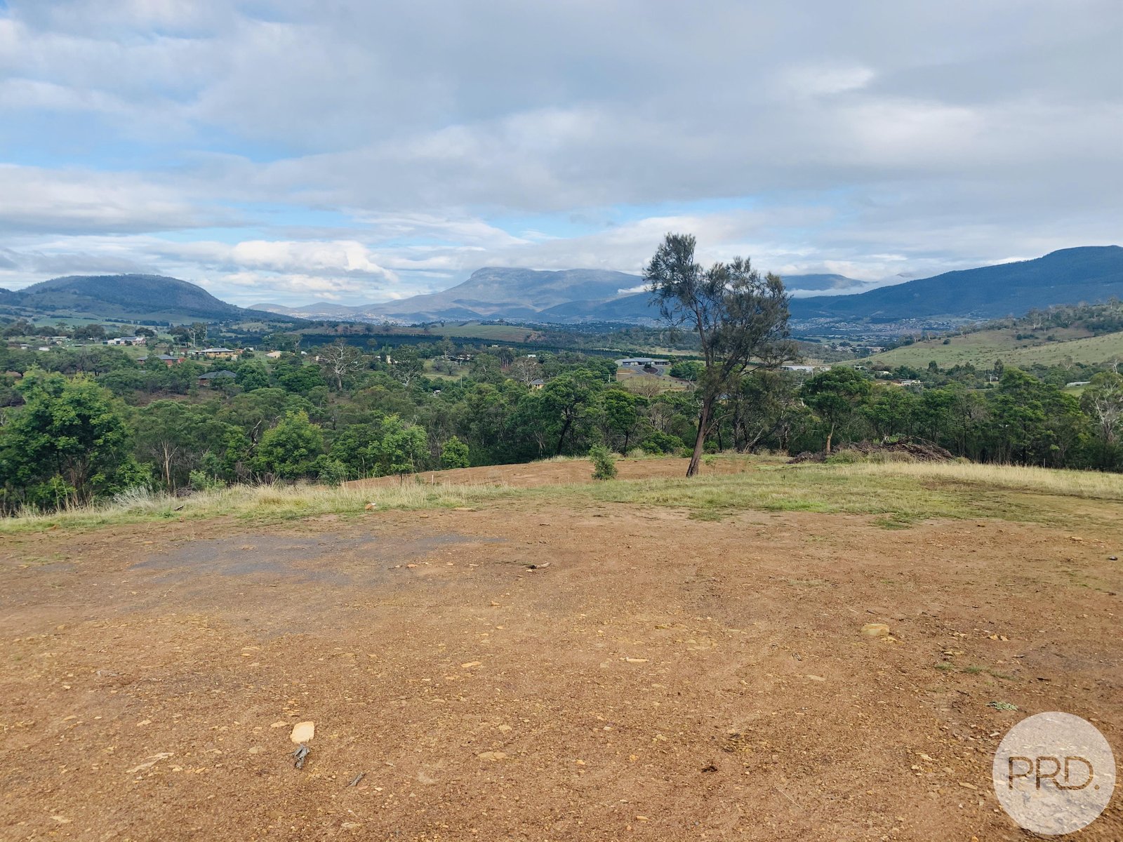 13 Dokdo Rise HONEYWOOD 3