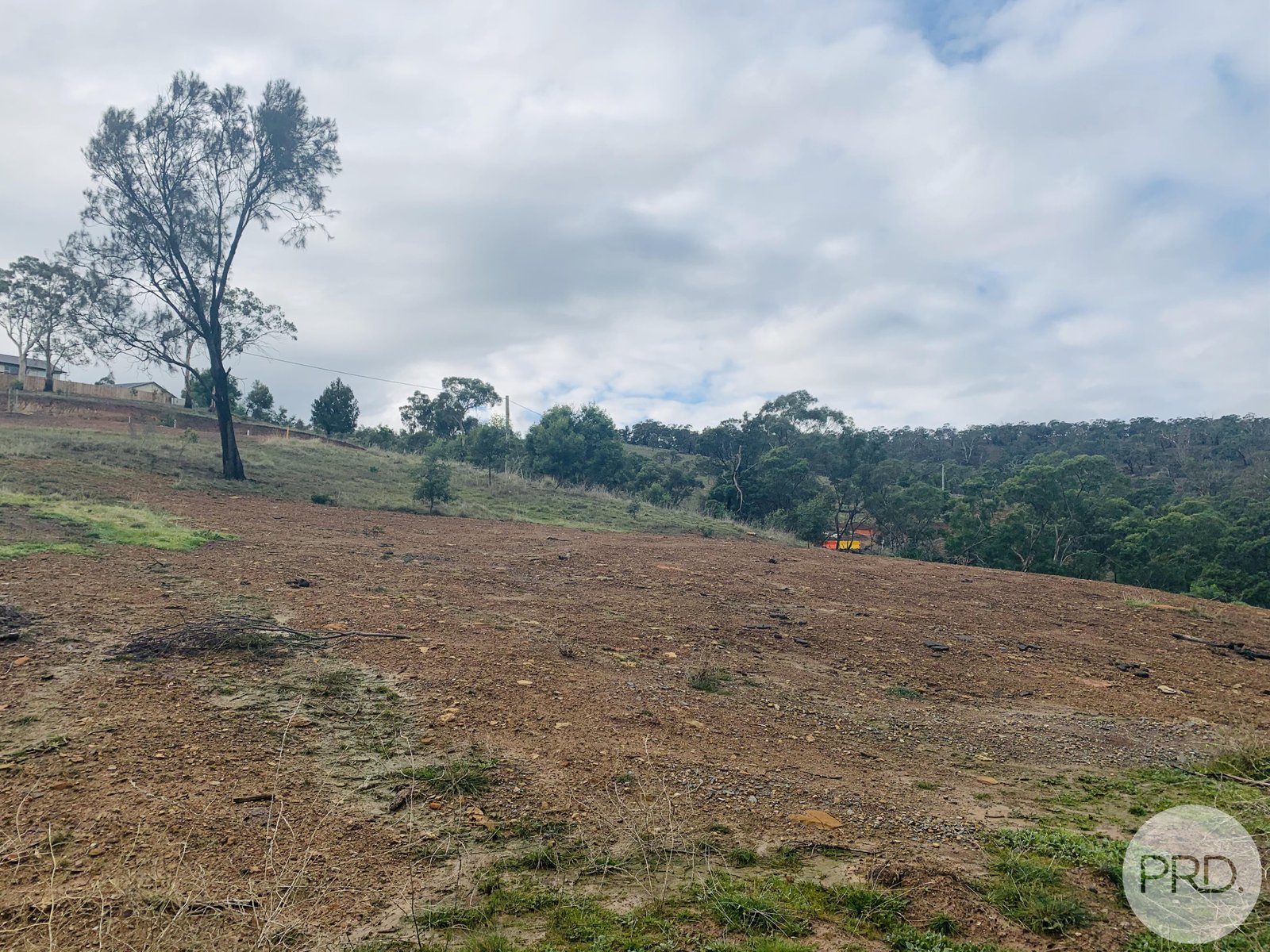 13 Dokdo Rise HONEYWOOD 4