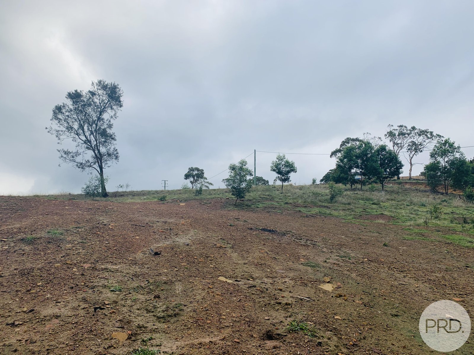 13 Dokdo Rise HONEYWOOD 5