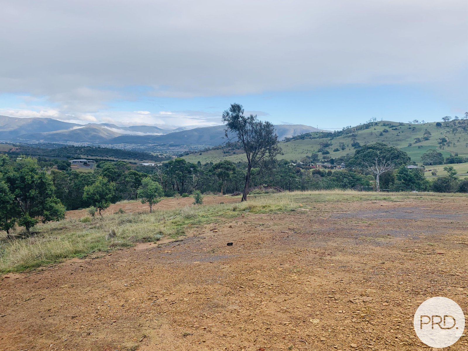 13 Dokdo Rise HONEYWOOD 6