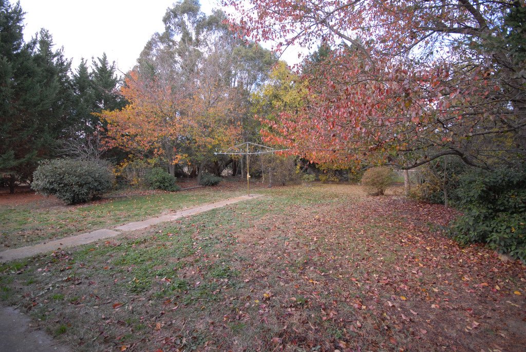 13 Elmslea Drive BUNGENDORE 15