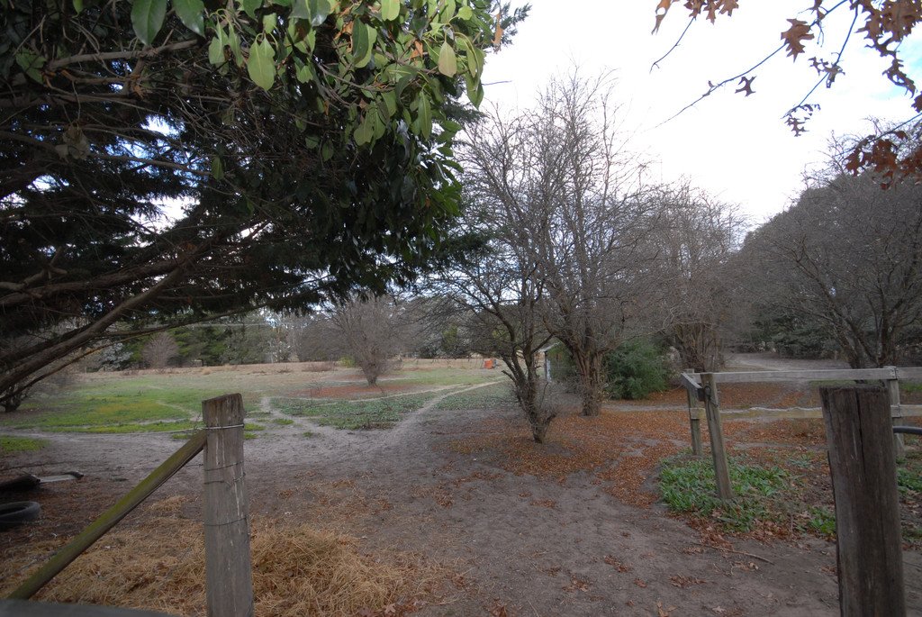 13 Elmslea Drive BUNGENDORE 17