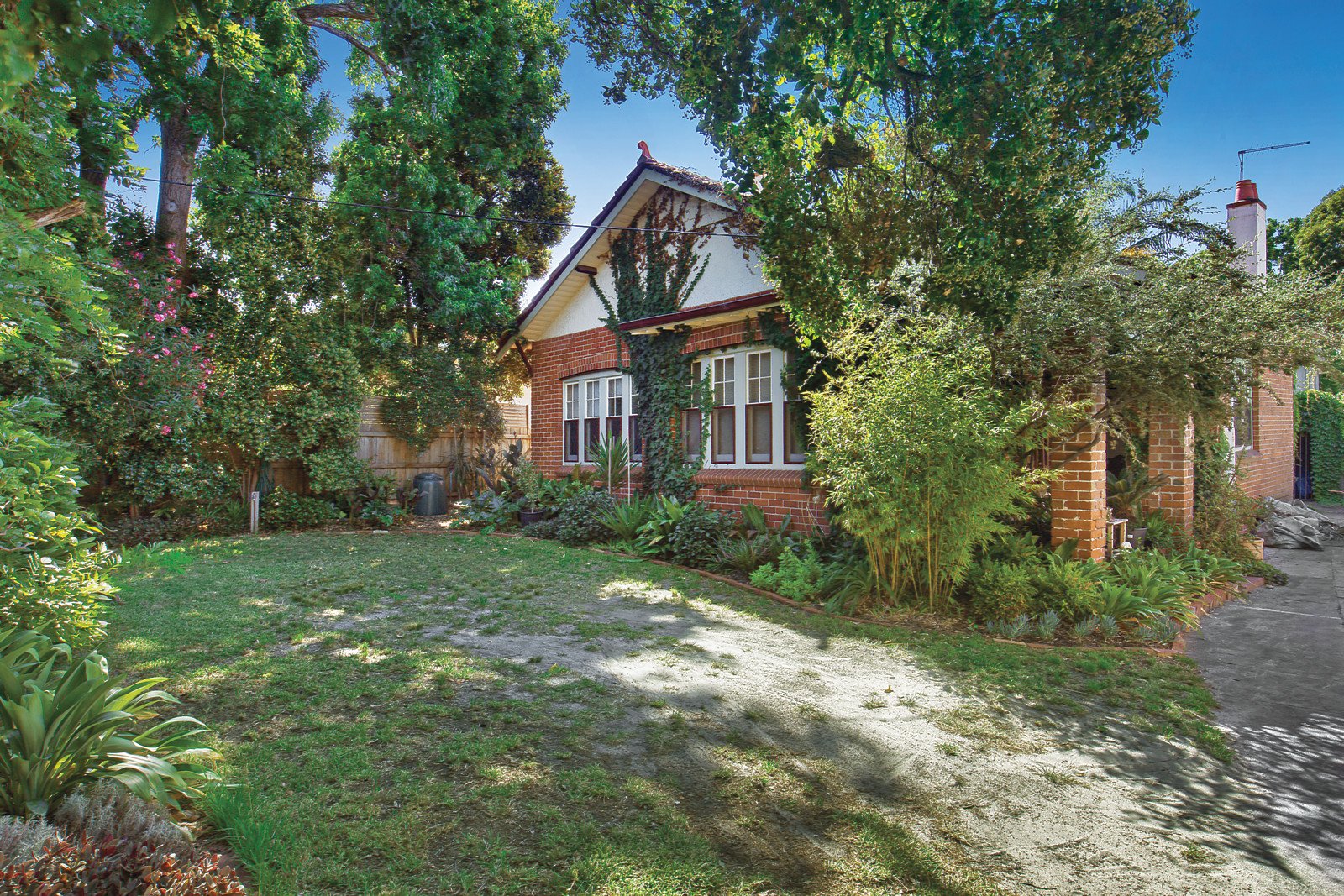 13 Enfield Road, Brighton, VIC