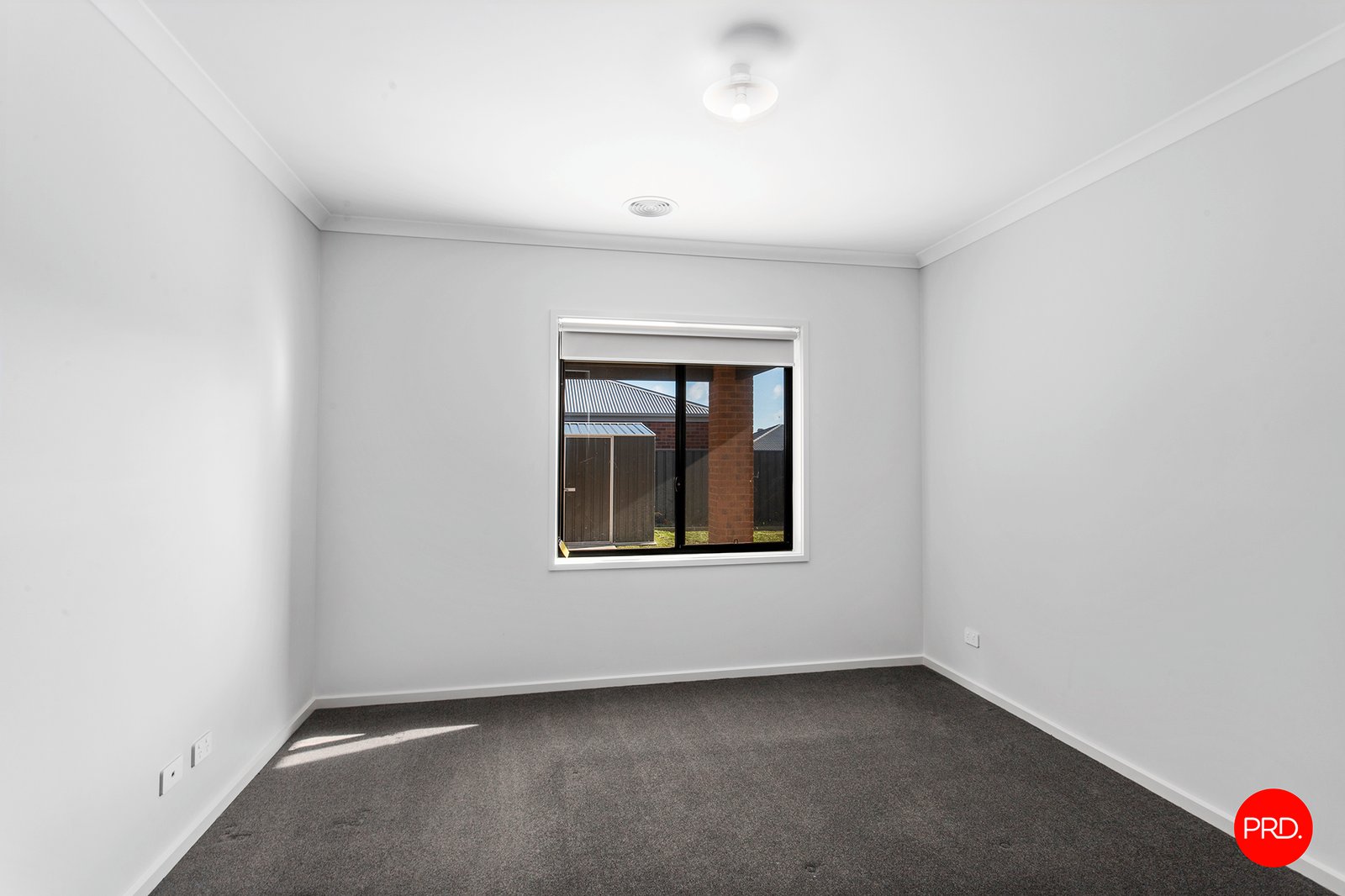 13 Eucalyptus Street JACKASS FLAT 10