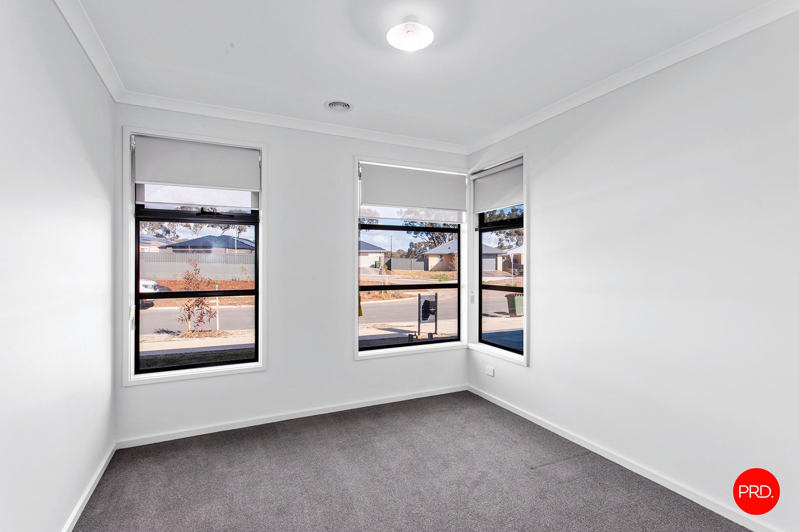 13 Eucalyptus Street JACKASS FLAT 12