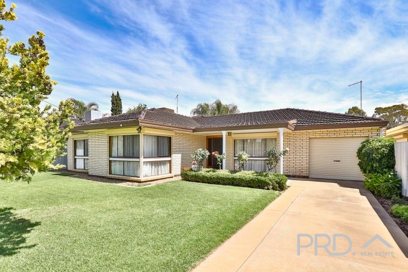 13 Euneva Drive MILDURA 1