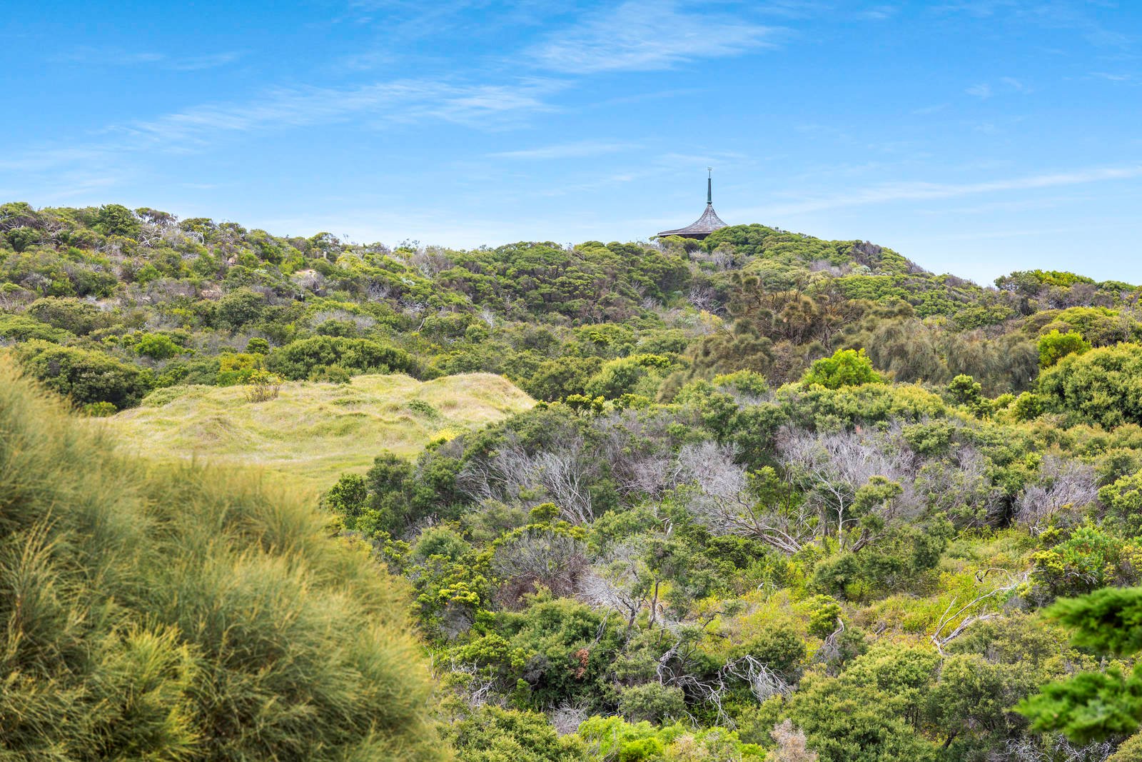 Property Video Thumbnail