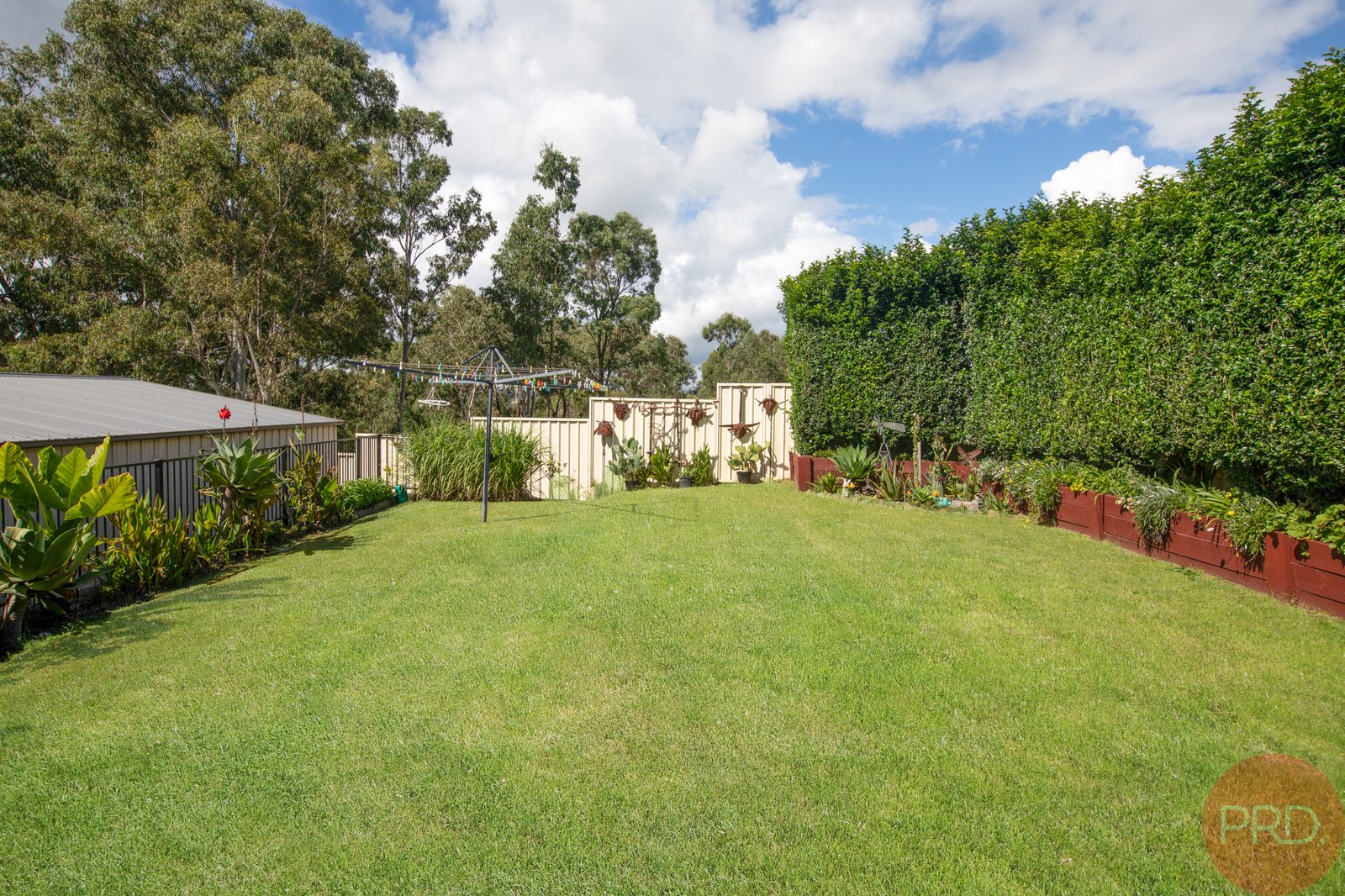 13 Goodlet Street RUTHERFORD 15