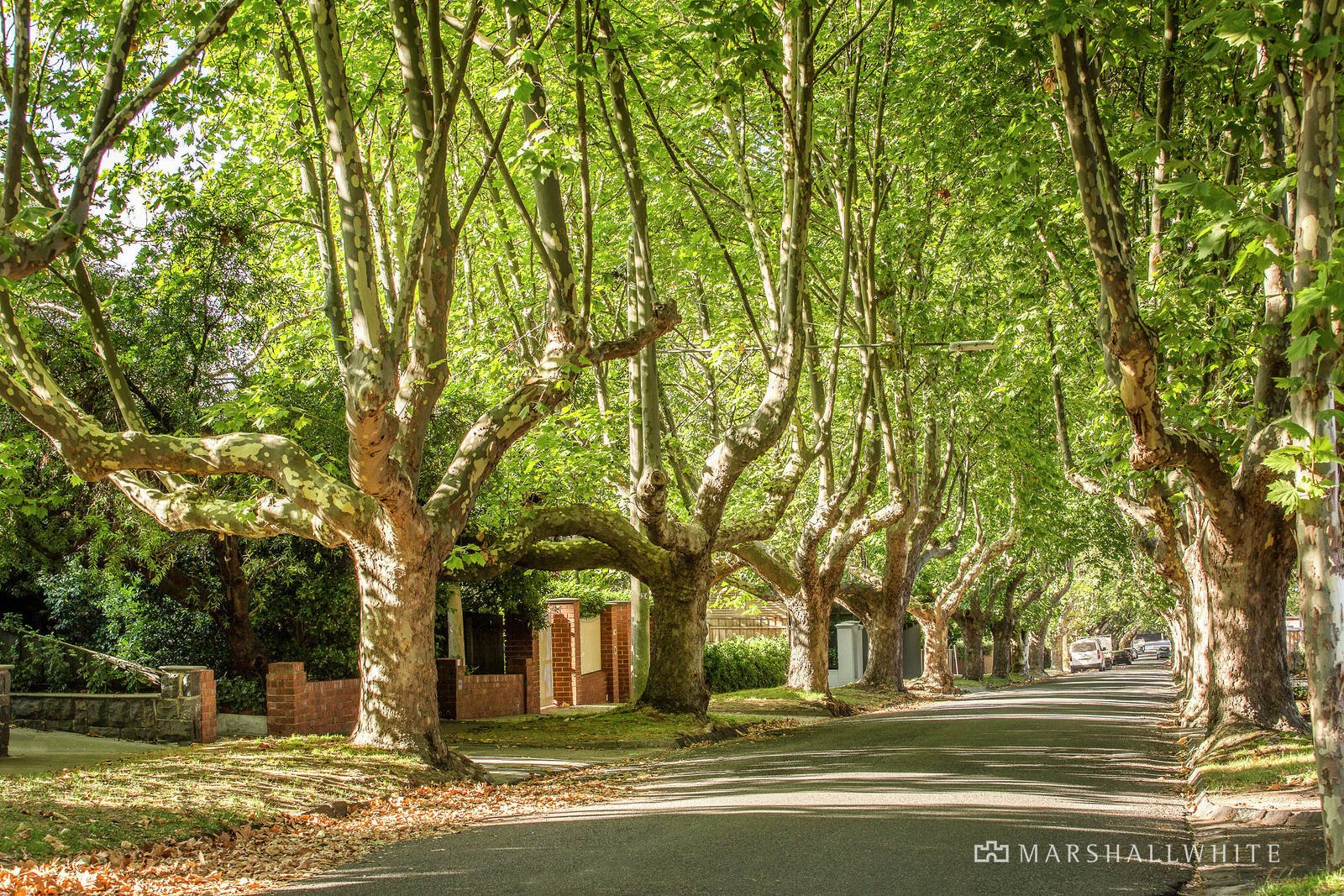 13 Haines Street, Hawthorn, VIC
