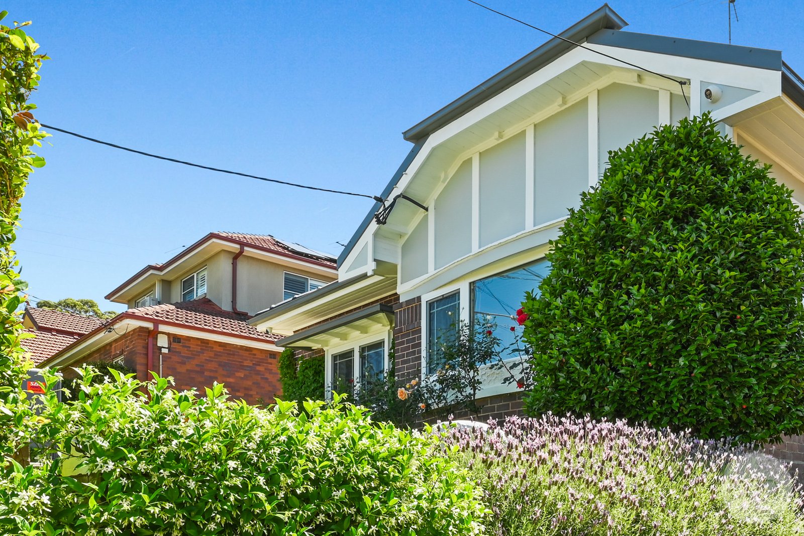 13 Hanigan Street PENSHURST 17