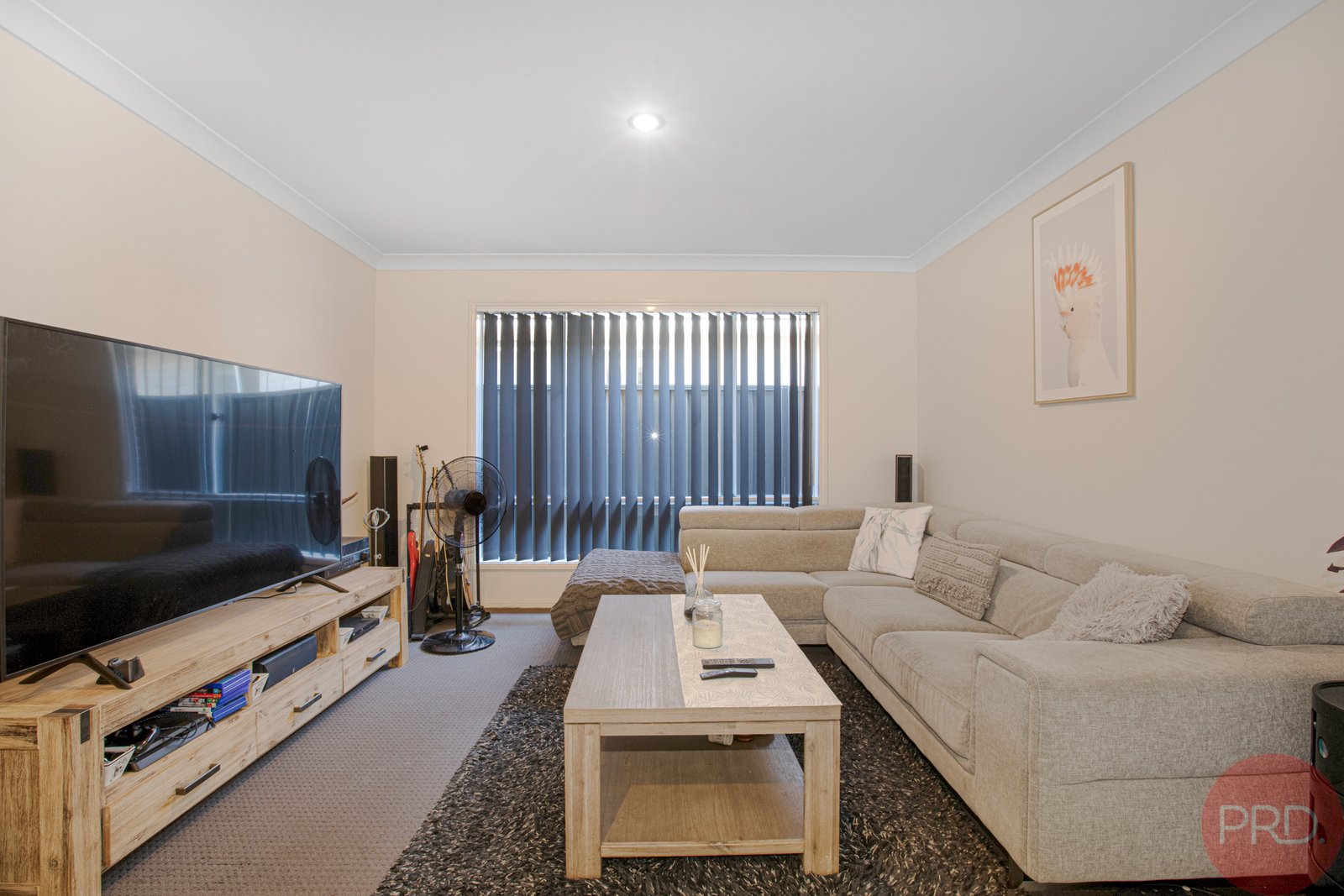 13 Hayworth Street RUTHERFORD 3