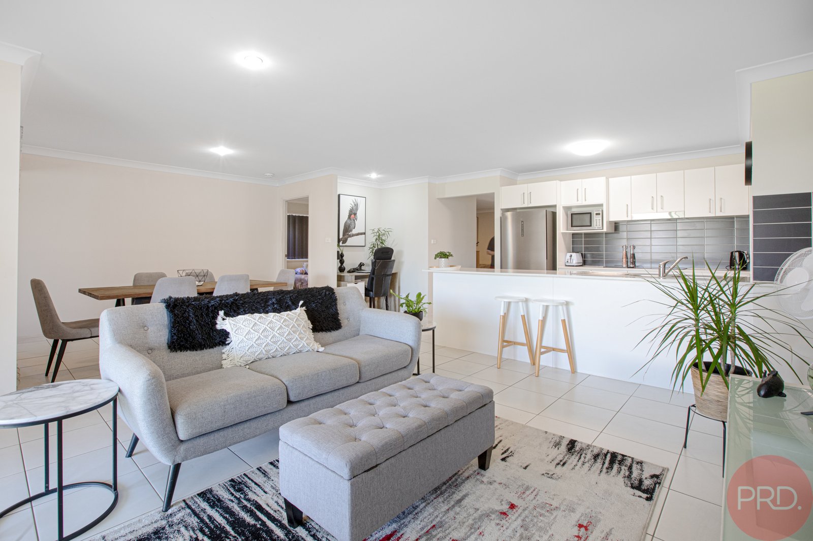 13 Hayworth Street RUTHERFORD 8