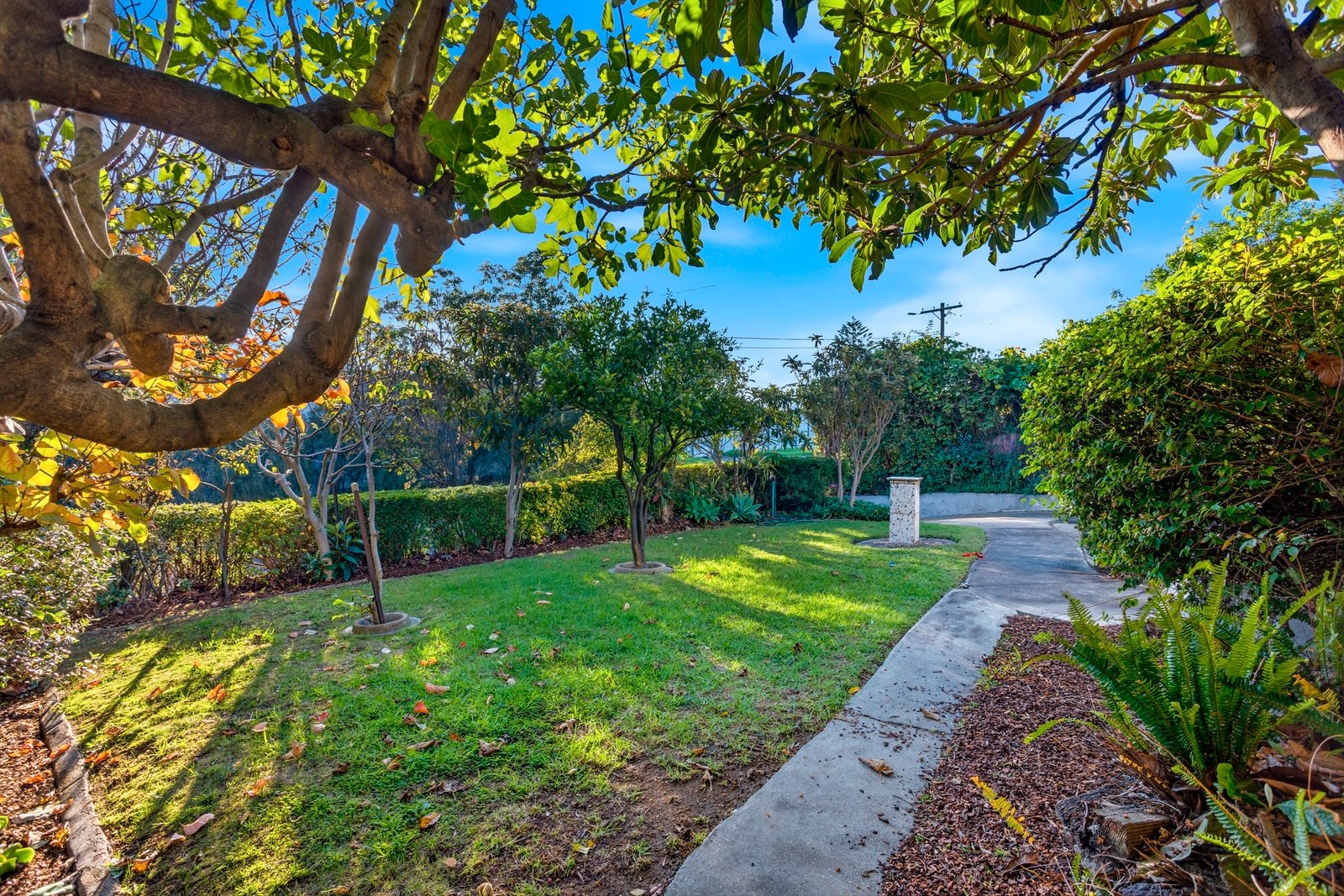 Gallery: 13 Jewell Crescent