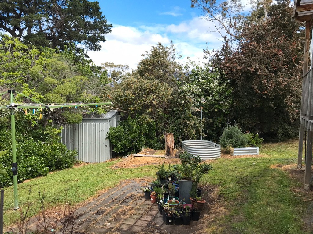 13 Jimbirn Street BERRIEDALE 4