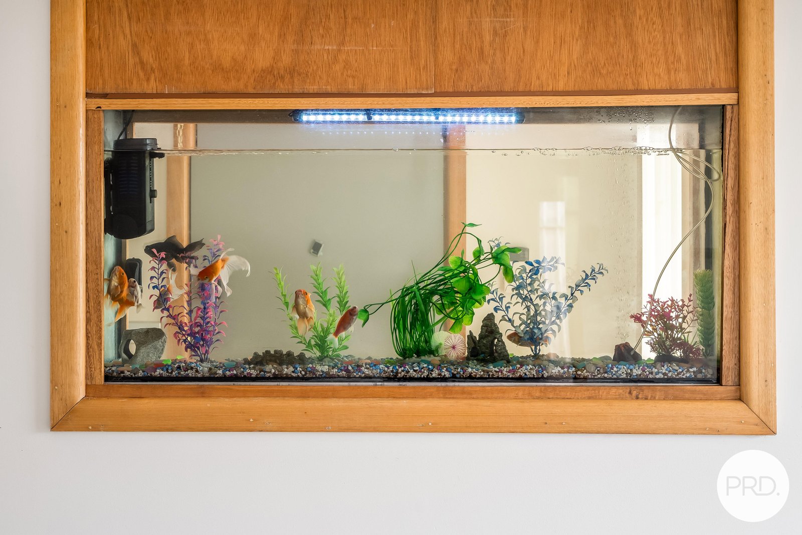 13 Karambi Street CHIGWELL 8