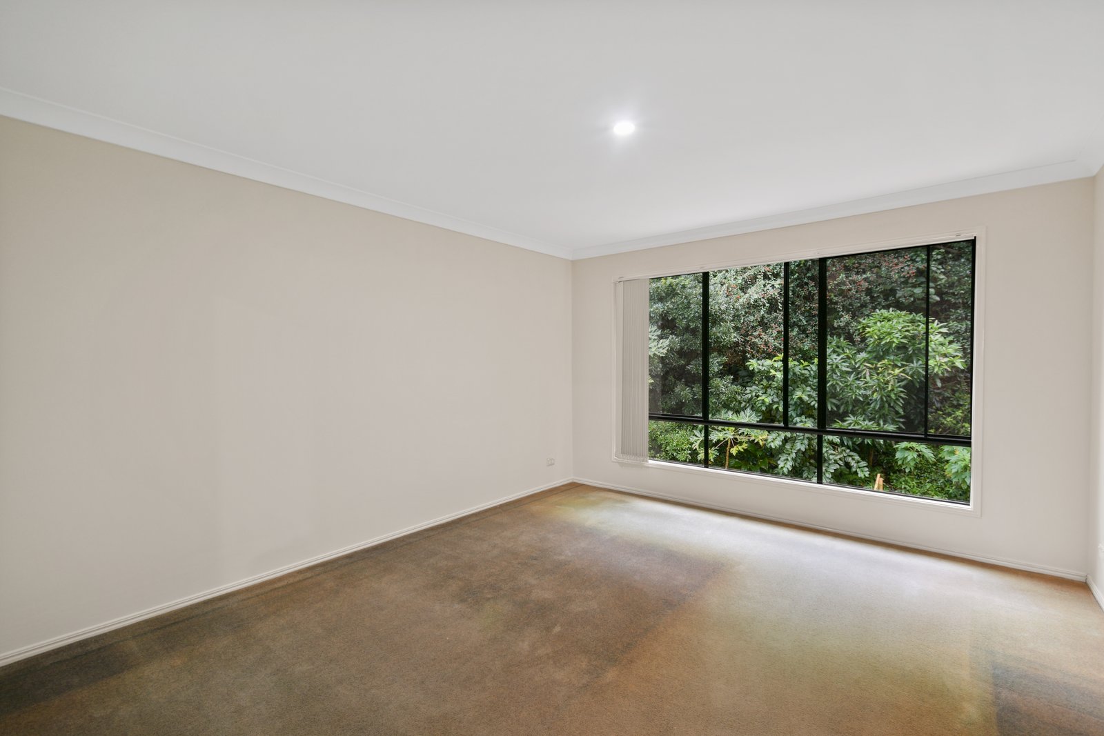 13 Kennedy Drive TWEED HEADS 6